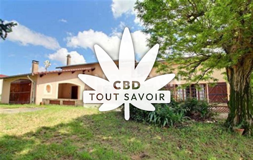 Village à Chuzelles avec feuille Cannabis CBD
