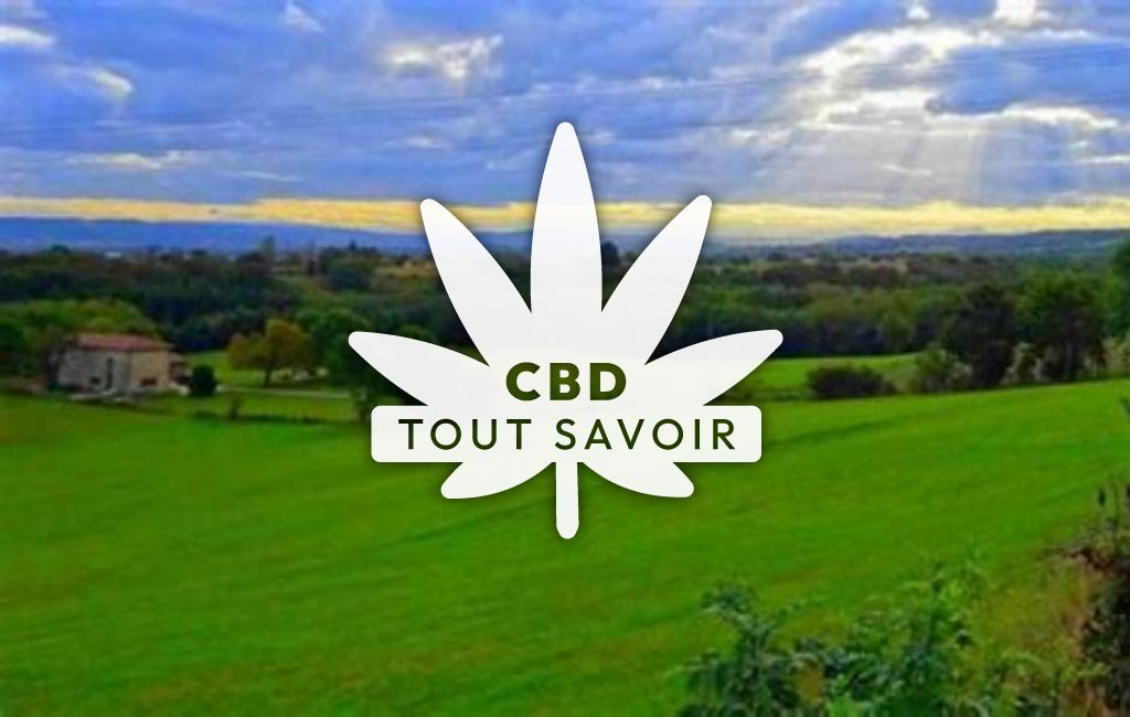 Village à Saint-Sorlin-de-Vienne avec feuille Cannabis CBD