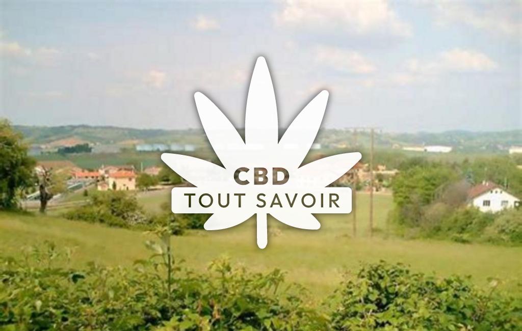 Village à Serpaize avec feuille Cannabis CBD