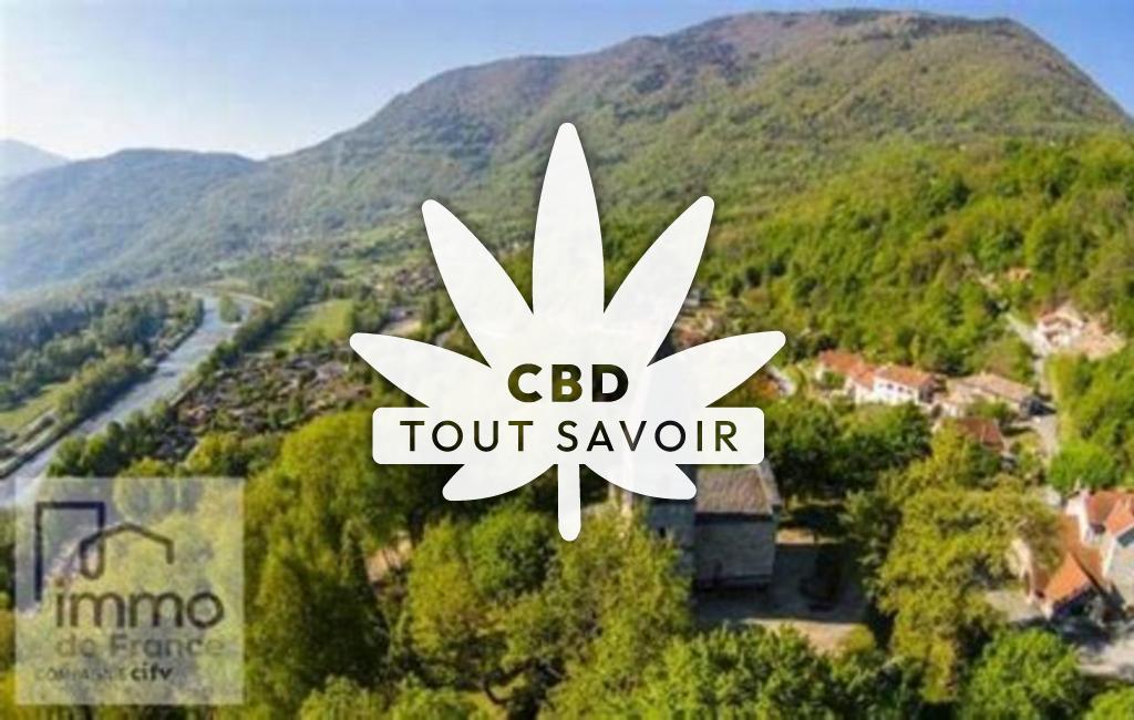 Village à Notre-Dame-de-Mesage avec feuille Cannabis CBD