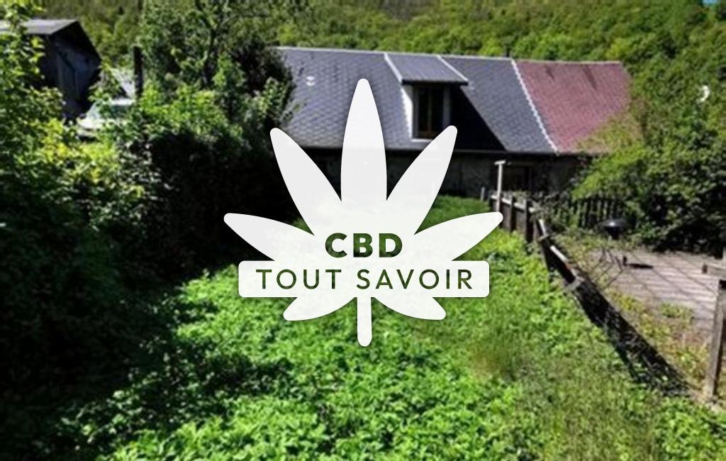 Village à Saint-Barthelemy-de-Sechilienne avec feuille Cannabis CBD