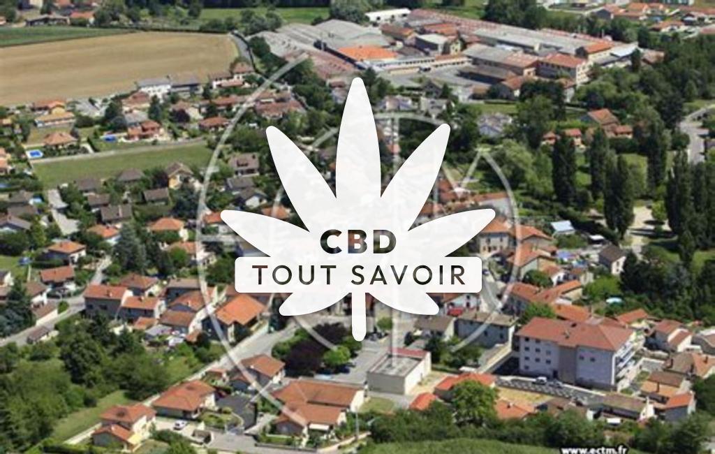 Village à Chavanoz avec feuille Cannabis CBD