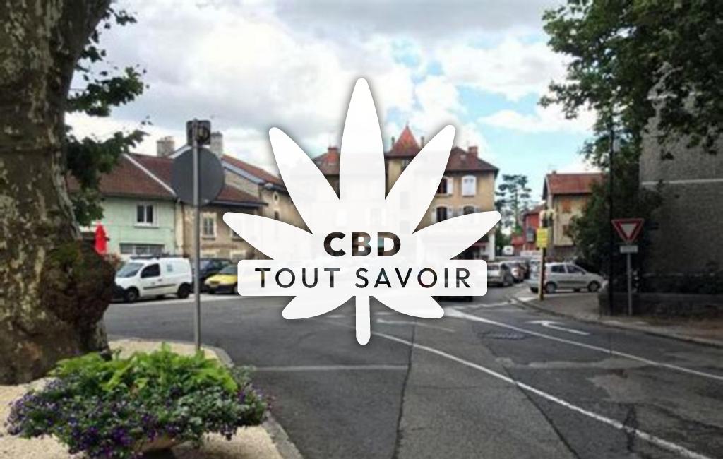 Village à Pont-de-Cheruy avec feuille Cannabis CBD