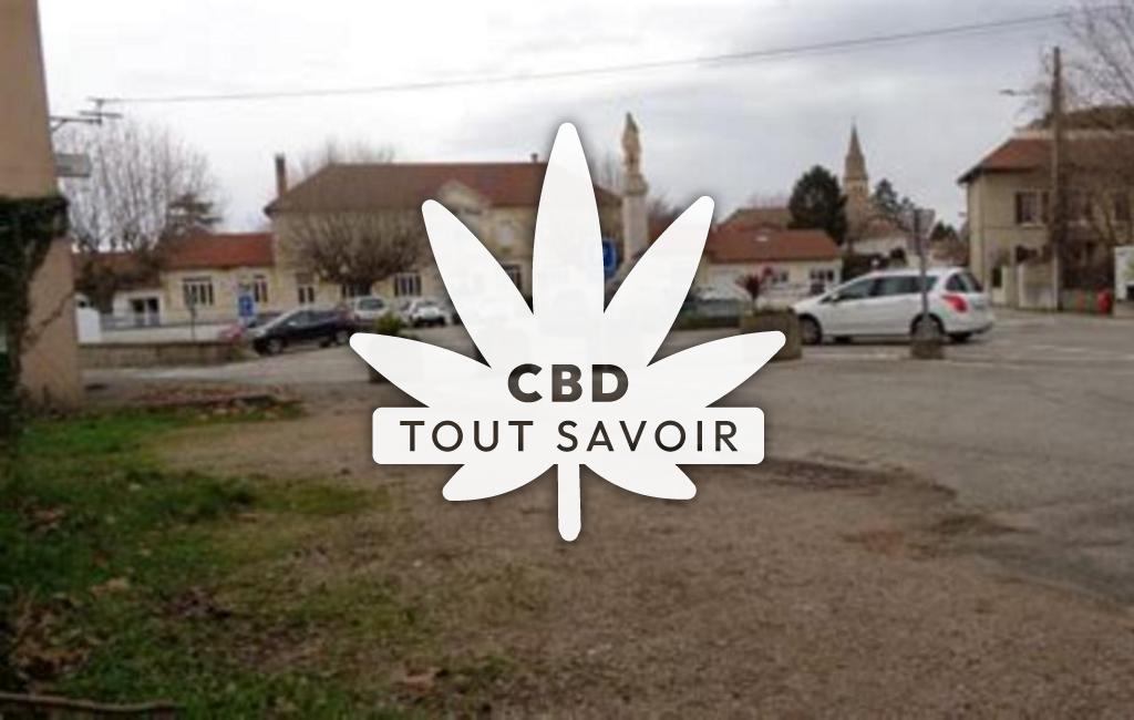 Village à Tignieu-Jameyzieu avec feuille Cannabis CBD