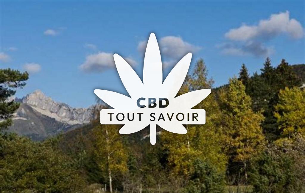 Village à Correncon-en-Vercors avec feuille Cannabis CBD