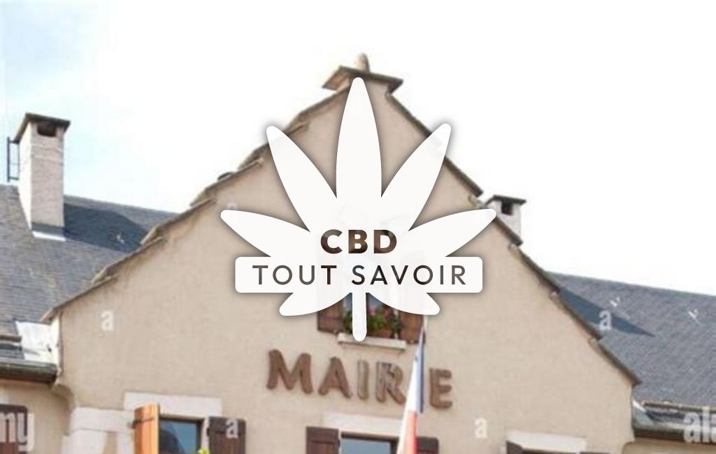 Village à Lans-en-Vercors avec feuille Cannabis CBD
