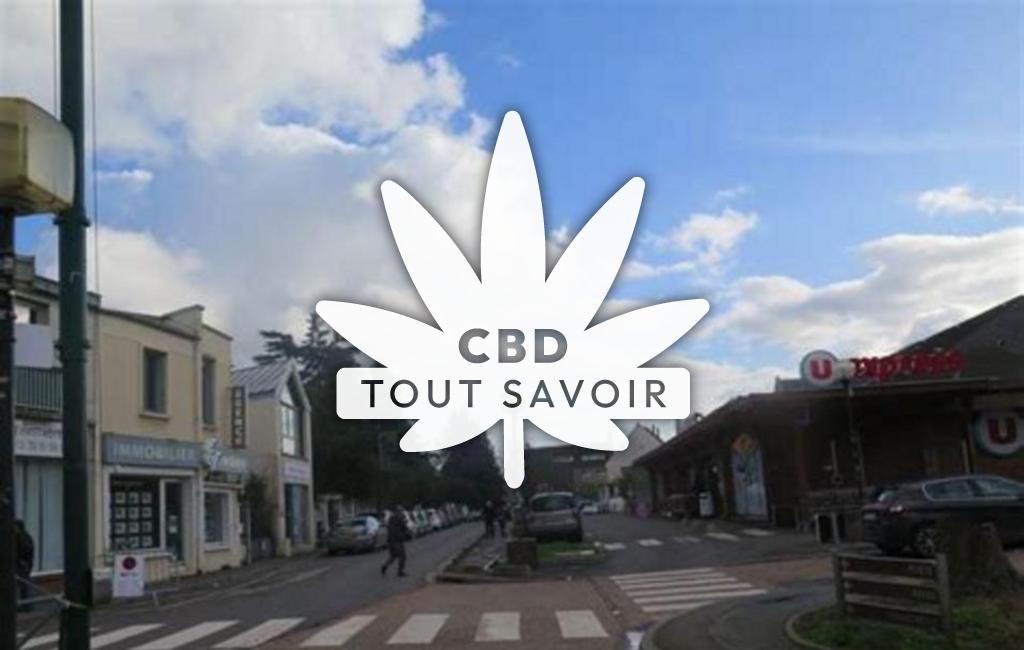 Village à La-Frette avec feuille Cannabis CBD