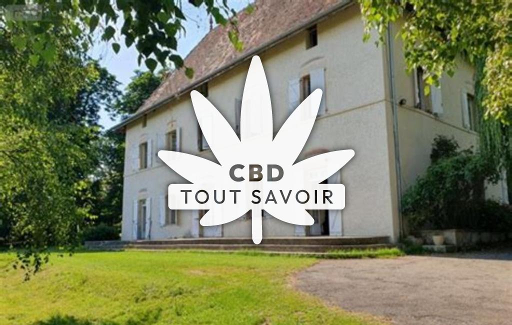 Village à Ornacieux-Balbins avec feuille Cannabis CBD