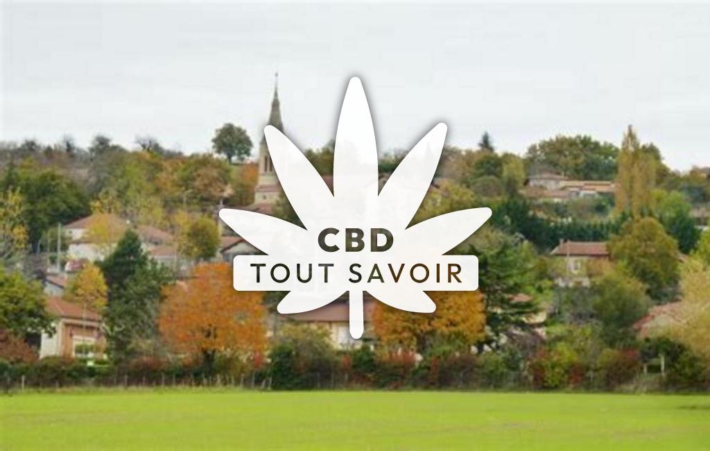 Village à Bellegarde-Poussieu avec feuille Cannabis CBD