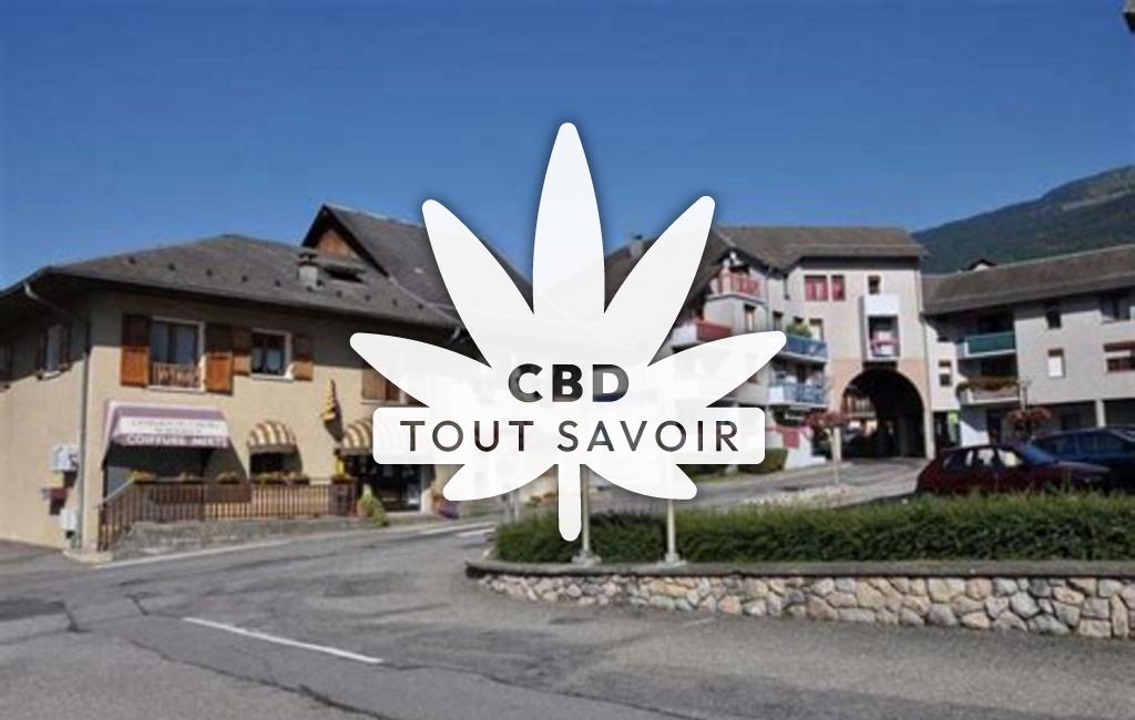 Village à Pact avec feuille Cannabis CBD
