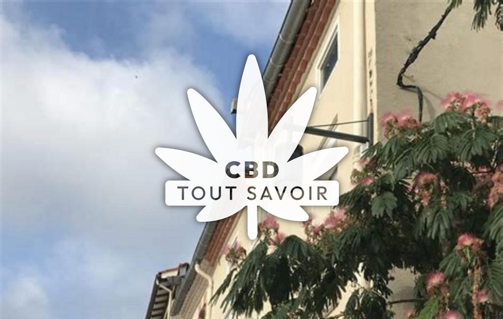 Village à Revel-Tourdan avec feuille Cannabis CBD
