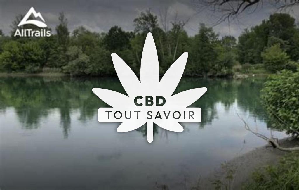 Village à Villette-D'Anthon avec feuille Cannabis CBD