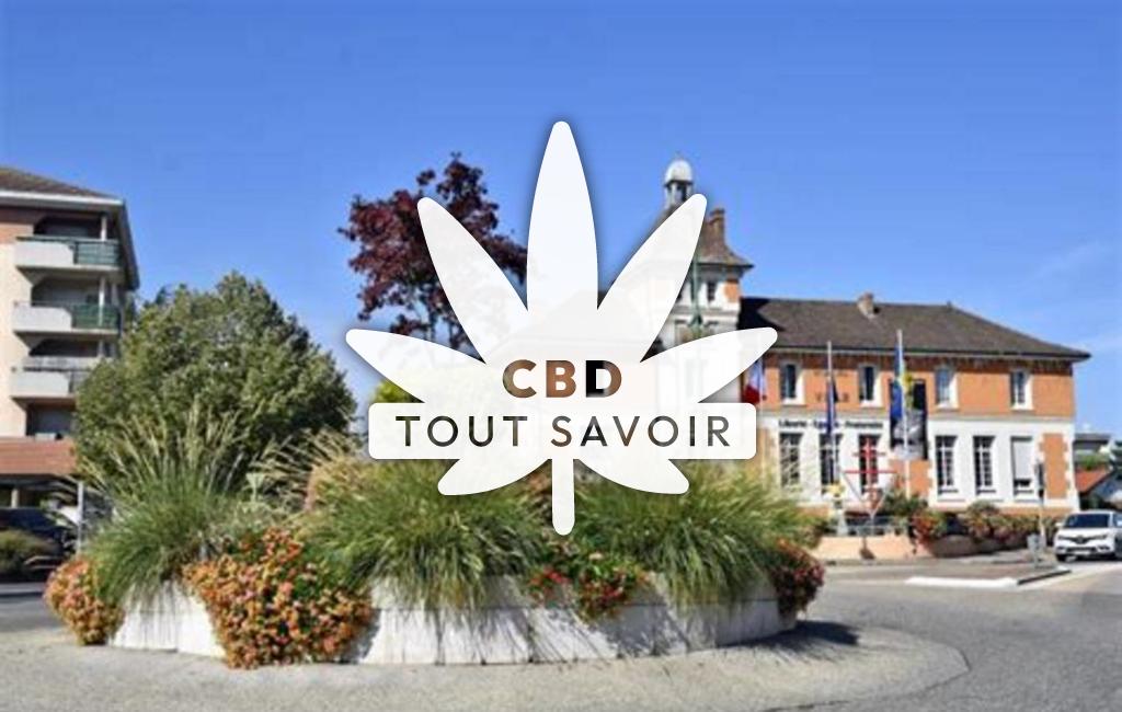 Village à La-Verpilliere avec feuille Cannabis CBD