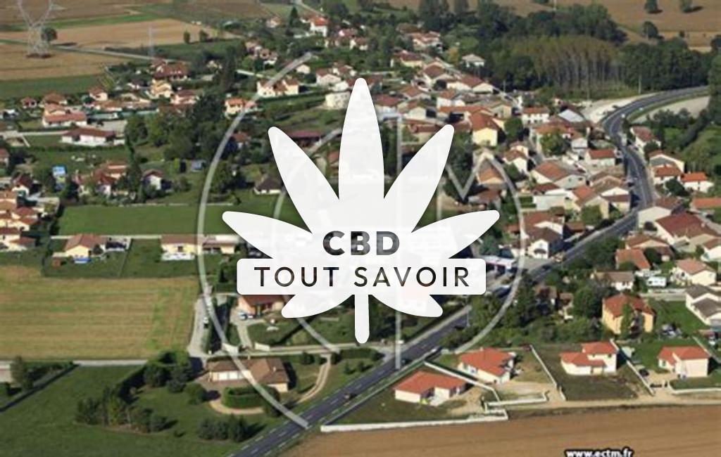 Village à Satolas-Et-Bonce avec feuille Cannabis CBD
