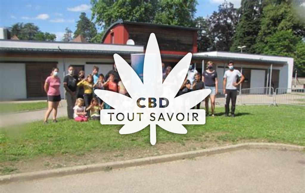 Village à Nivolas-Vermelle avec feuille Cannabis CBD