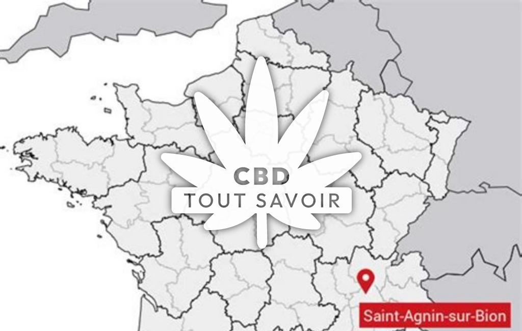 Village à Saint-Agnin-sur-Bion avec feuille Cannabis CBD