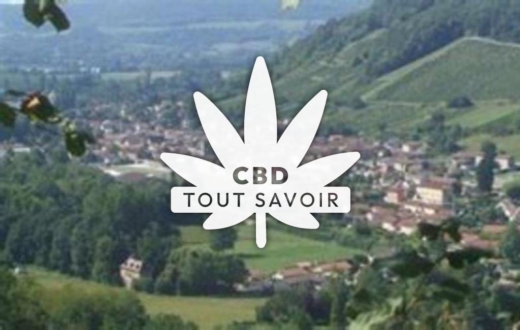 Village à Saint-Savin avec feuille Cannabis CBD