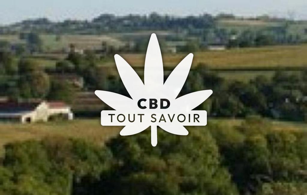 Village à Tramole avec feuille Cannabis CBD