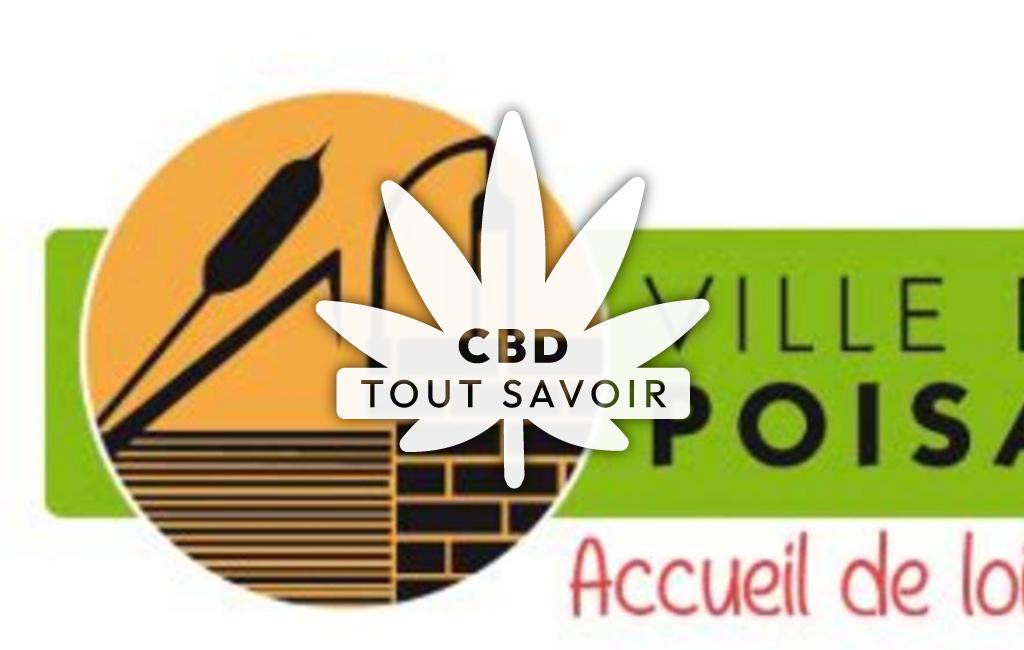 Village à Poisat avec feuille Cannabis CBD