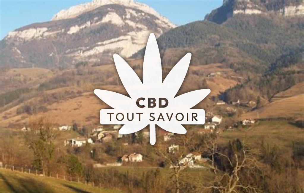 Village à La-Sure-en-Chartreuse avec feuille Cannabis CBD