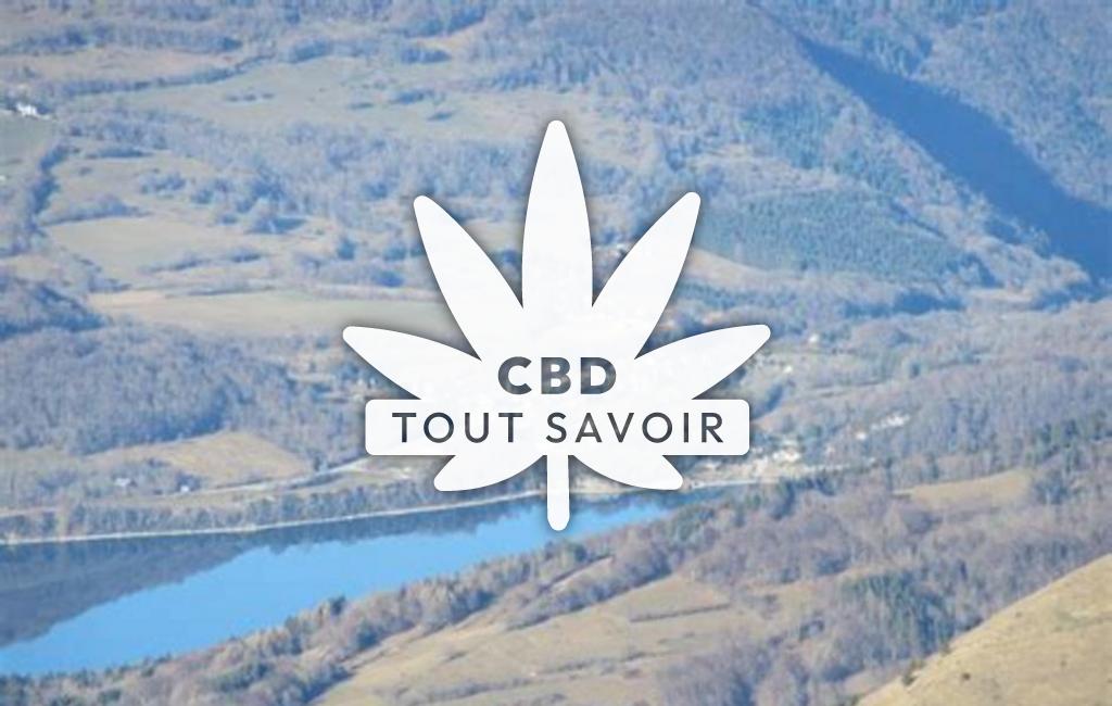 Village à Saint-Pierre-de-Mearoz avec feuille Cannabis CBD