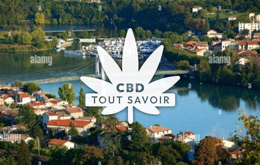 Village à Les-Roches-de-Condrieu avec feuille Cannabis CBD