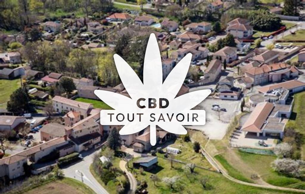 Village à Saint-Prim avec feuille Cannabis CBD