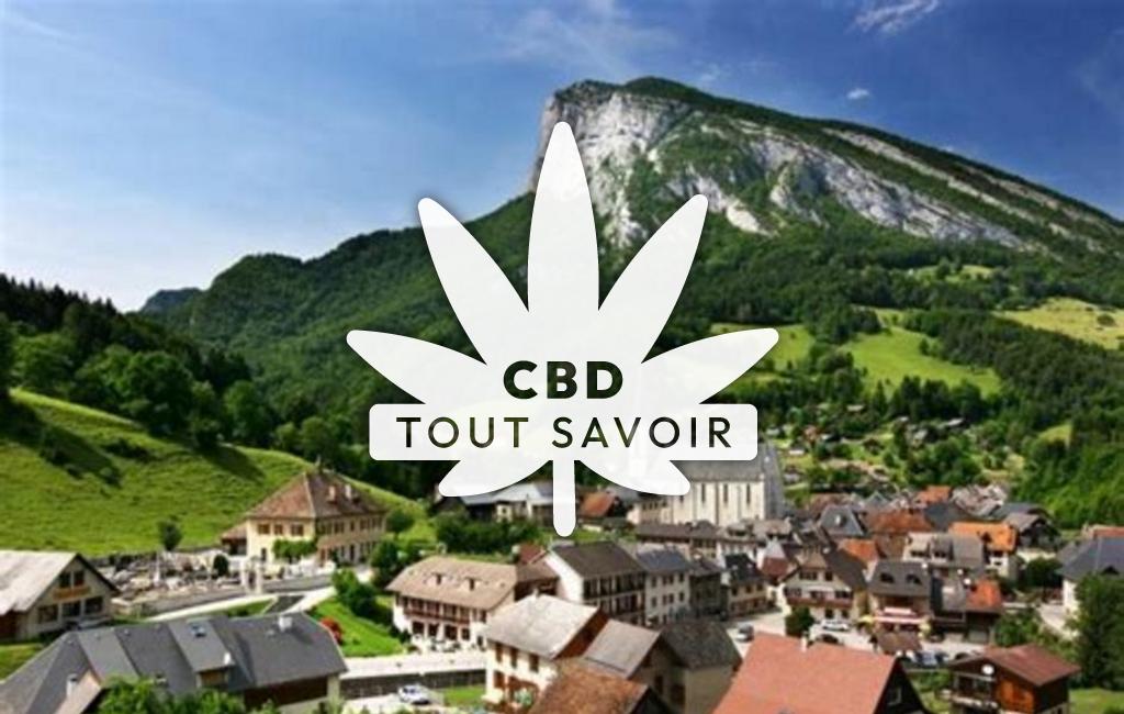 Village à Saint-Pierre-D'Entremont avec feuille Cannabis CBD