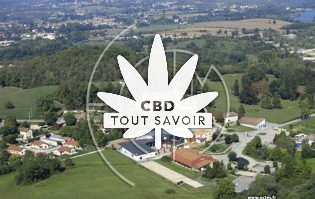 Village à Bouvesse-Quirieu avec feuille Cannabis CBD