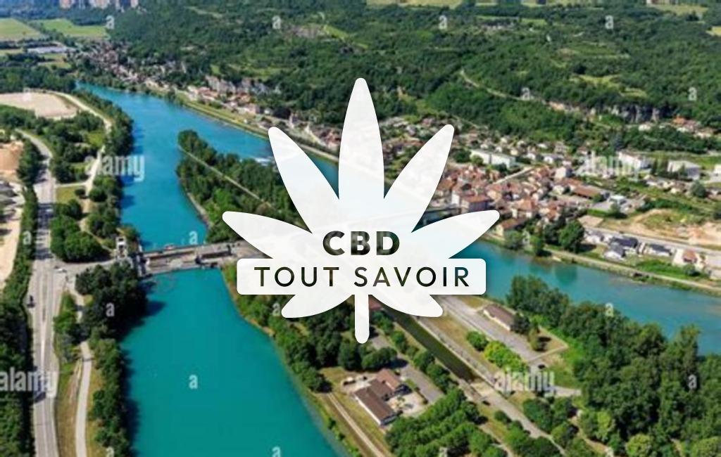 Village à Porcieu-Amblagnieu avec feuille Cannabis CBD