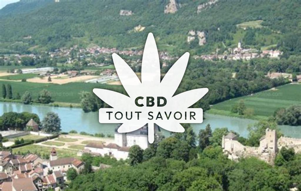 Village à Vertrieu avec feuille Cannabis CBD