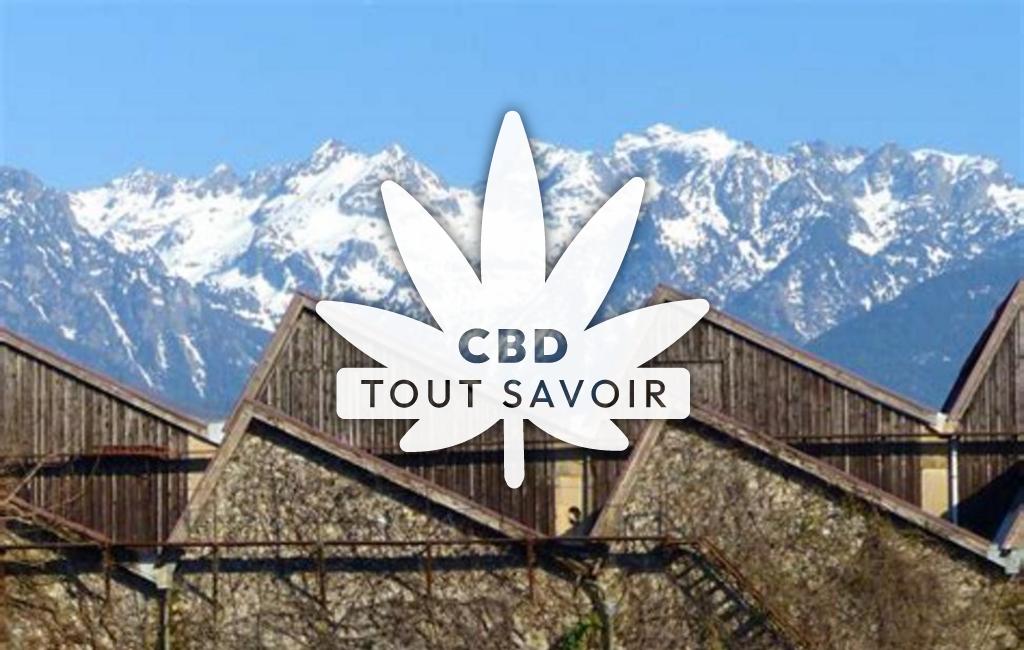 Village à Saint-Martin-D'Heres avec feuille Cannabis CBD