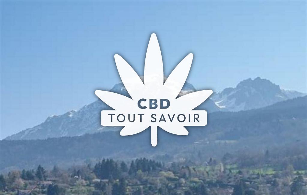 Village à Saint-Martin-D'Uriage avec feuille Cannabis CBD