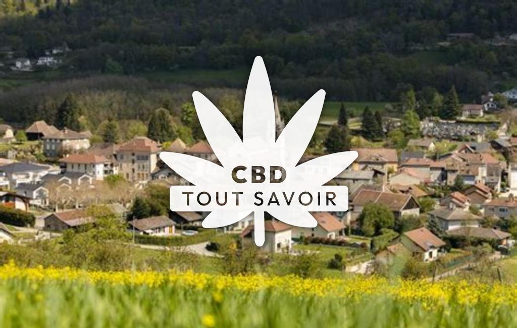 Village à Vaulnaveys-le-Bas avec feuille Cannabis CBD
