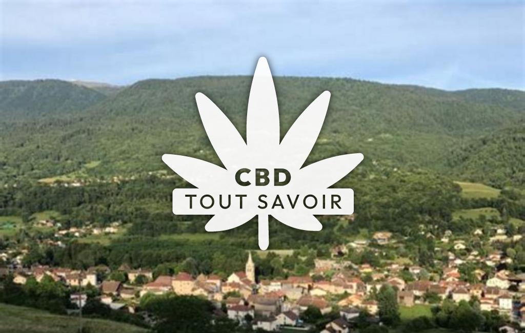 Village à Vaulnaveys-le-Haut avec feuille Cannabis CBD