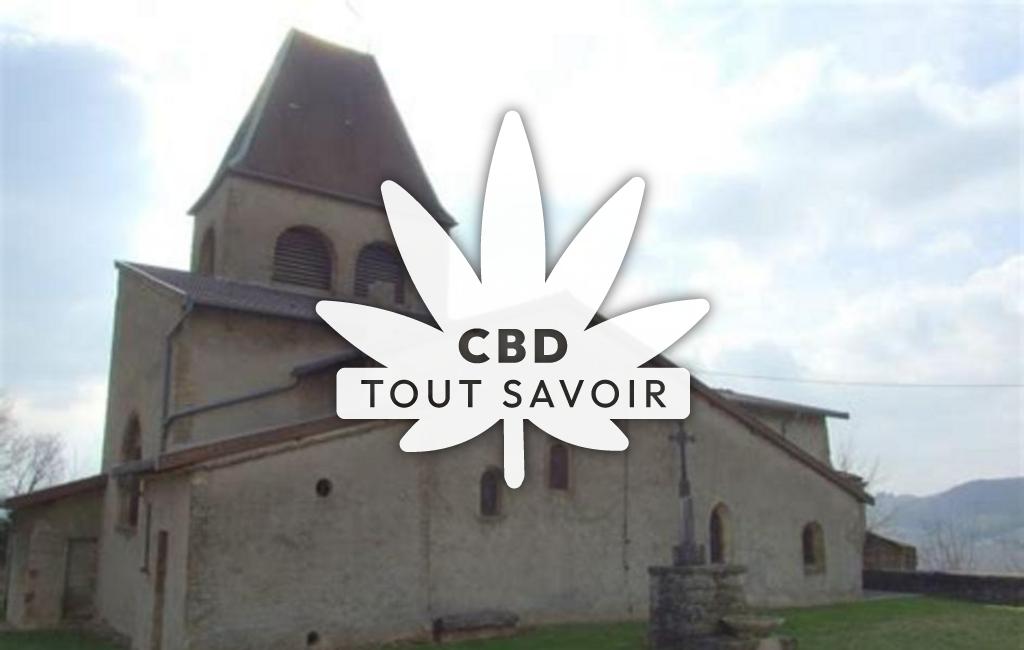 Village à Beauvoir-de-Marc avec feuille Cannabis CBD