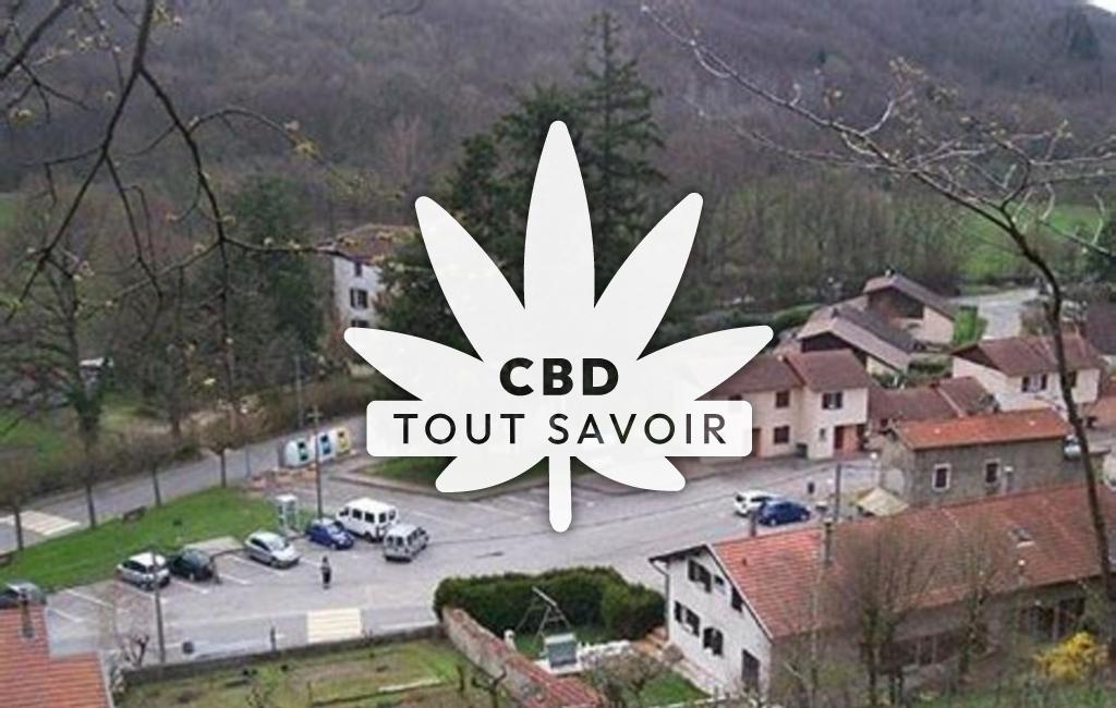 Village à Chatonnay avec feuille Cannabis CBD