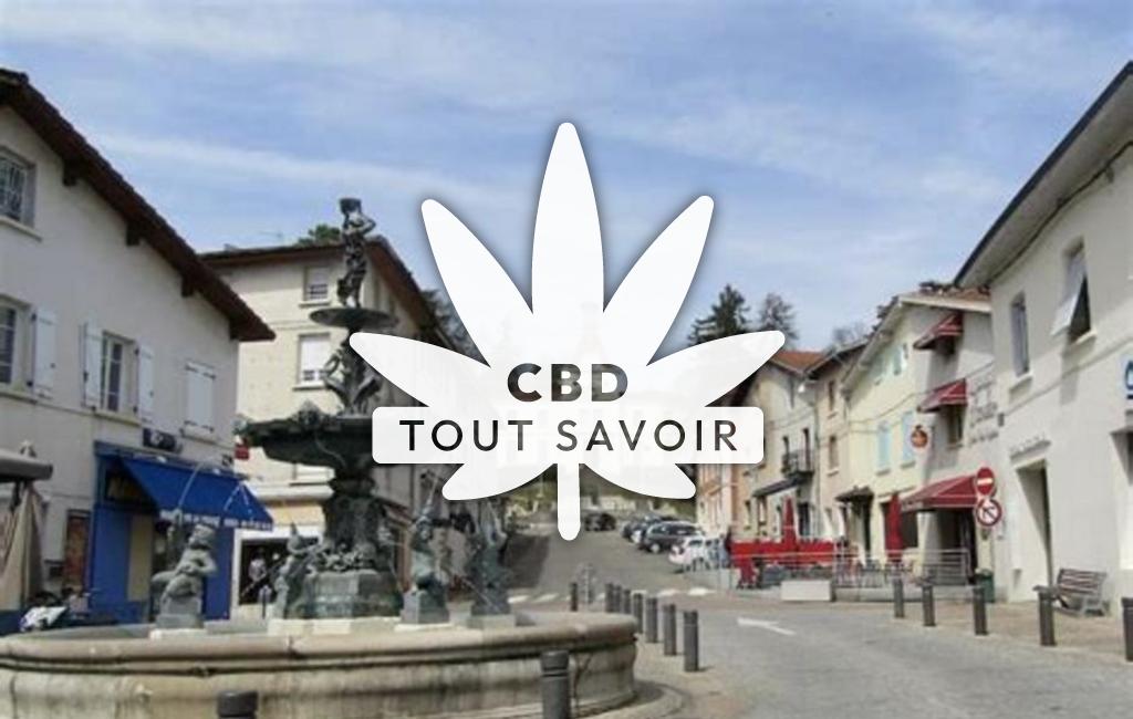 Village à Saint-Jean-de-Bournay avec feuille Cannabis CBD