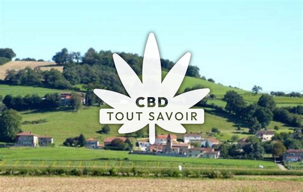 Village à Savas-Mepin avec feuille Cannabis CBD