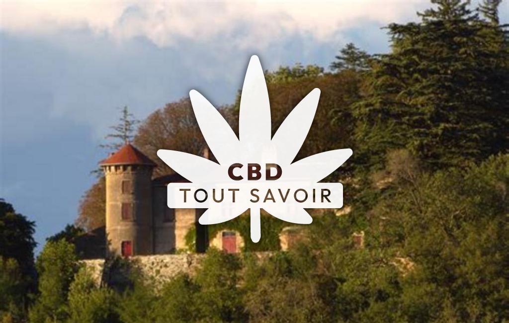 Village à Villeneuve-de-Marc avec feuille Cannabis CBD