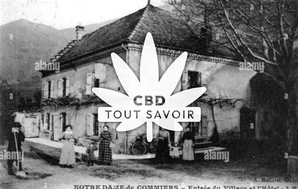 Village à Notre-Dame-de-Commiers avec feuille Cannabis CBD