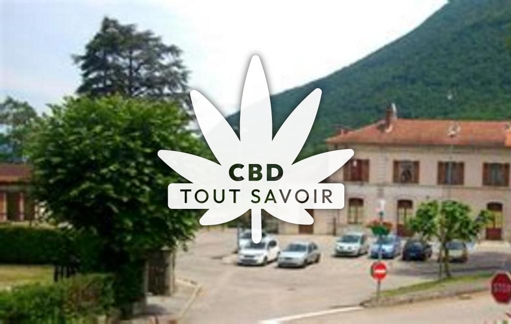 Village à Saint-Georges-de-Commiers avec feuille Cannabis CBD