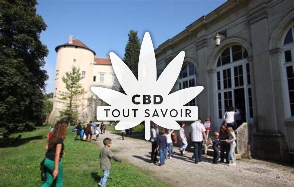 Village à Chamagnieu avec feuille Cannabis CBD