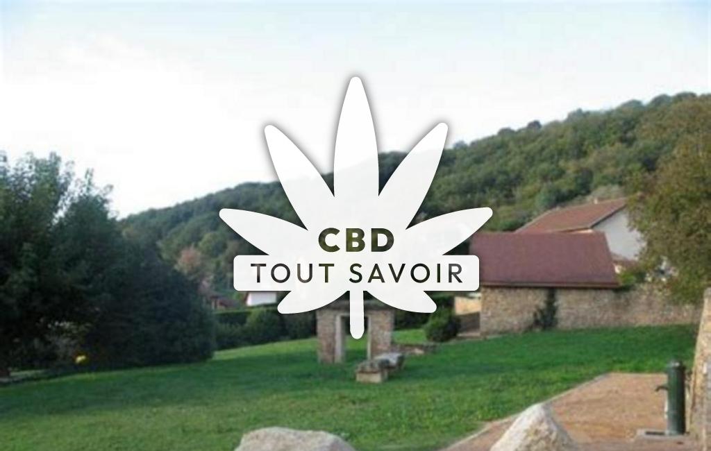 Village à Panossas avec feuille Cannabis CBD