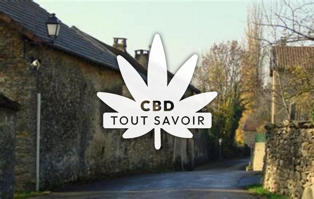 Village à Saint-Hilaire-de-Brens avec feuille Cannabis CBD