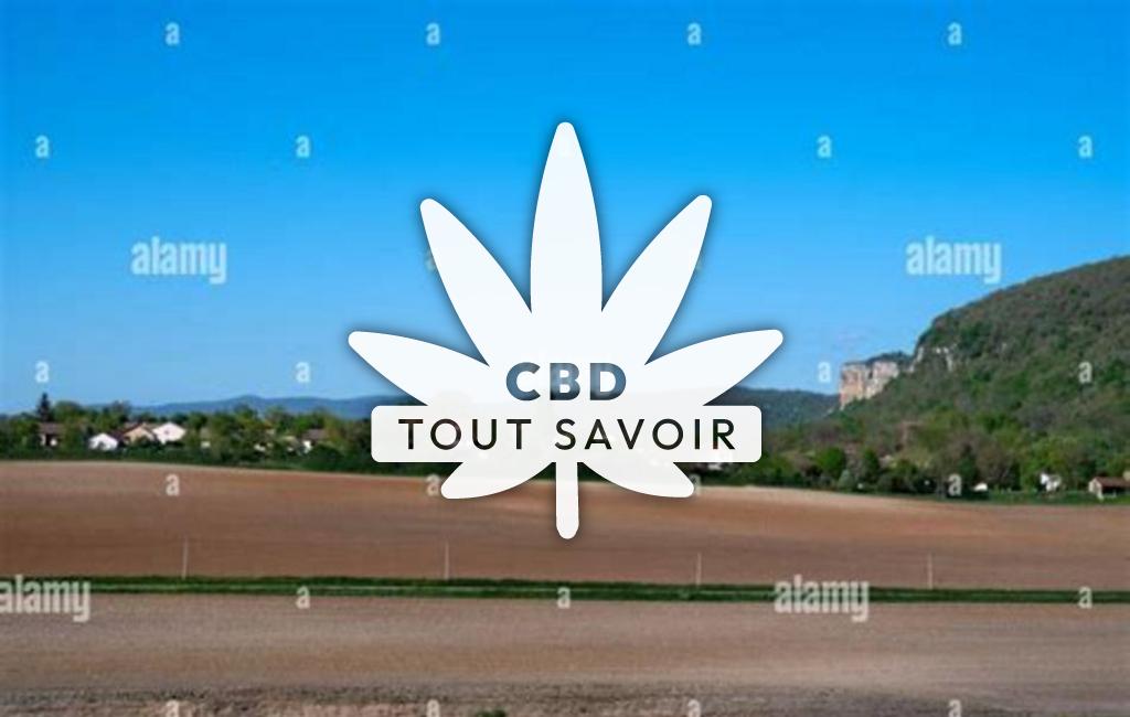Village à Vernas avec feuille Cannabis CBD