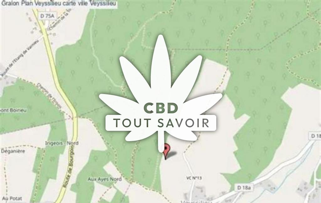 Village à Veyssilieu avec feuille Cannabis CBD