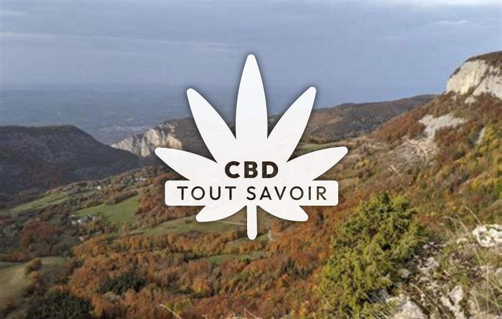 Village à Malleval-en-Vercors avec feuille Cannabis CBD