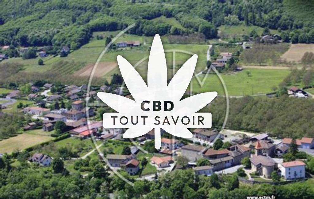 Village à Teche avec feuille Cannabis CBD