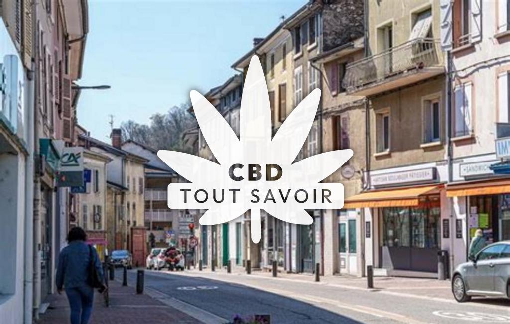 Village à Vinay avec feuille Cannabis CBD